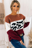 Brown Color Block Leopard Splicing Sweater