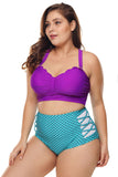 Plus SizePurple & Blue Scalloped Detail High Waist Swimsuit