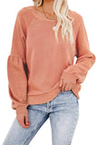 Raglan Patchwork Sleeve Pullover Sweatshirt