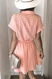 Polka Dot Shirt Collar Short Sleeve Mini Dress