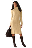 Hand Knitted High Neck Sweater Dress